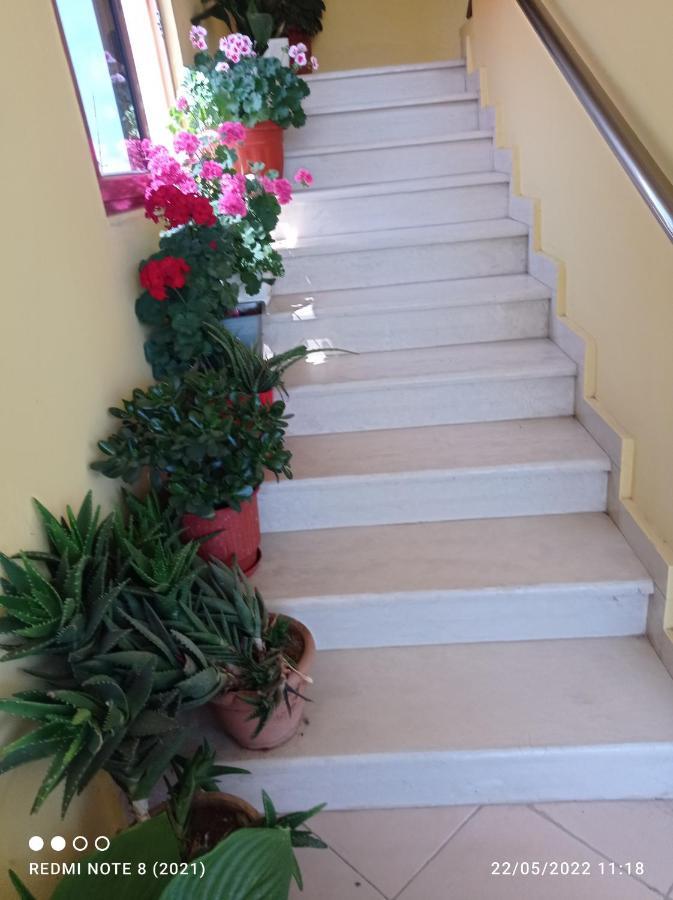 Fatos Biti Guest house *